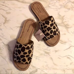 🔥New🔥Leopard Slides